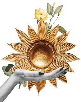 It Costs Zero to Start